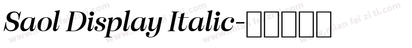 Saol Display Italic字体转换